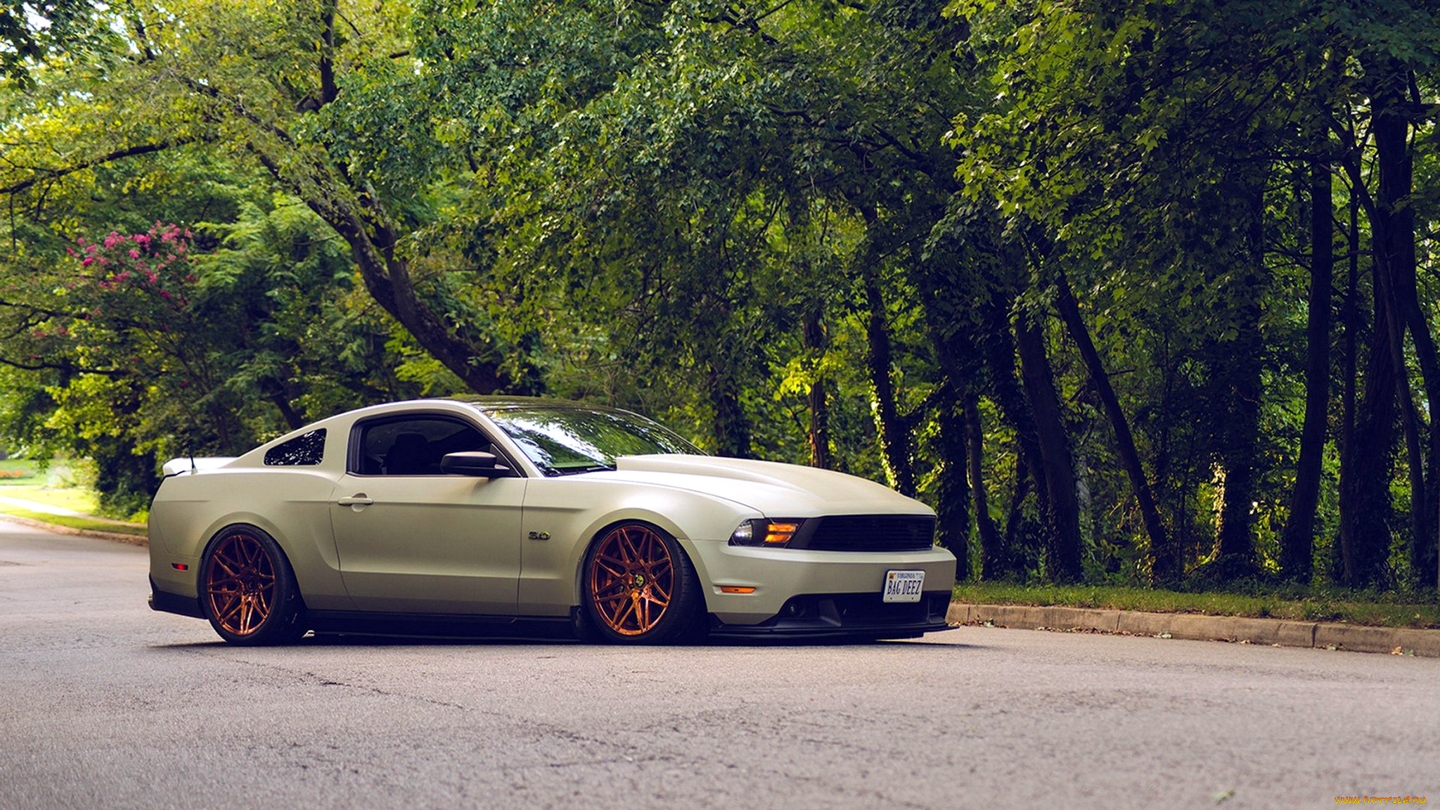 ford mustang, , mustang, ford, motor, company, , , 